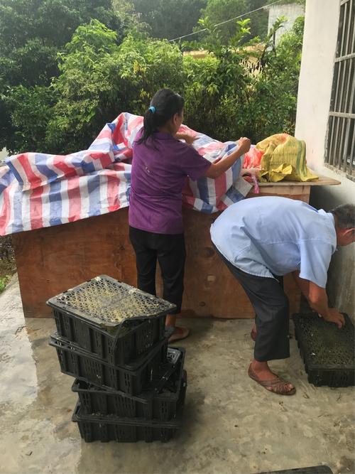 市生态环境保护监测站认真精准扶贫工作